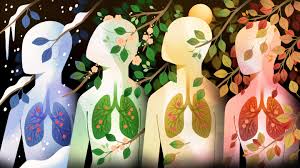 Nikki nabavi reports panel member nisreen alwan (box 1) began the discussion by defining long covid as not recovering for several weeks or months following the start of. Long Covid How It Keeps Us Sick Quanta Magazine