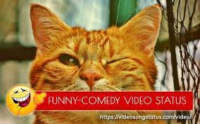 2021 Funny Whatsapp Status Video Download For Free Comedy Videos Video Song Status Discover the wonders of the likee.