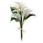 Profile Picture of Sean Liam Harter Obituary 2017 - Adams - Redmond Funeral Homes (@redmondfuneralhomes.net) on Google