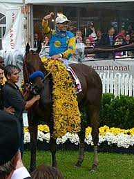American Pharoah Wikipedia