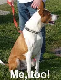 Report a correction or typo related topics: New Beginnings For Merced County Animals Merced County Events