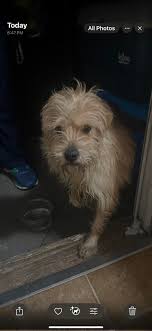 Hey all! Saw this little guy