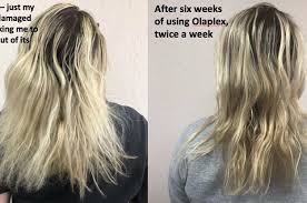After being lifted, the cuticle will not reseal 100% but over a few days it does. Olaplex No 3 Is The Miracle Corrector Your Damaged Hair Has Been Searching For