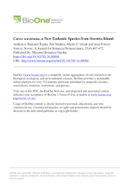 Image result for Carex steudneri