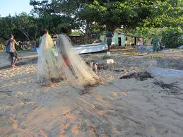 En ce moment, vous pouvez regarder plus belle la vie en streaming sur amazon prime video ou gratuit avec publicités sur france tv. L Homme Et La Mer Aux Yasawa Iles Fidji