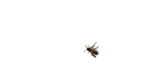Many variables can increase or decrease the cost of. Residential Commercial Pest Control Sanitizing Disinfecting Services A1 Exterminators Lynn Ma Ants Termites Bed Bugs Rodents