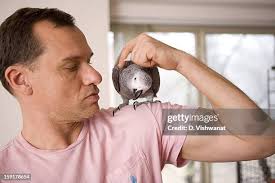 13 Jim Eggers Stock Photos, High-Res Pictures, and Images