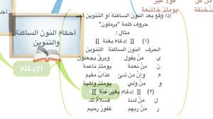 أحكام النون الساكنة والتنوين خريطة ذهنية Quotes Bullet Journal Journal