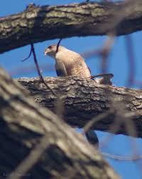 2/14 Lancaster Co Pennsylvania