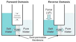Simple diffusion and osmosis are similar, except in simple diffusion, it is the solute particles that move. Osmosis Definition Types Examples Osmosis Vs Diffusion