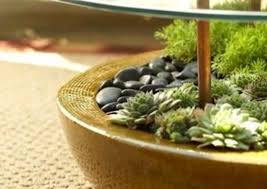 Some cacti boast tremendous flowers. Succulent Planter Ideas 11 Creatively Stylish Displays Bob Vila