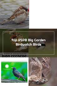 Top Rspb Big Garden Birdwatch Birds British Bird Lovers In 2020 Big Garden Birdwatch Big Garden Bird Lovers
