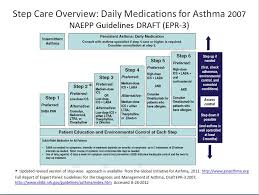 How You Can Live Better With Asthma Asthma Cure Asthma