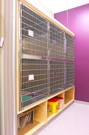 Color Your Clinic Happy Veterinary Hospital Hospital Design Pet Clinic