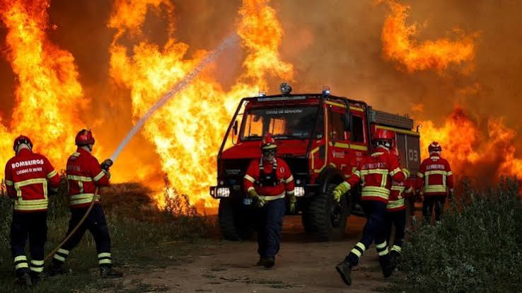 La ola de calor provoca incendios forestales en Francia, España y Portugal: las llamas arrasaron más de 19.000 hectáreas | TN
