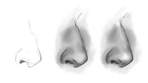 Two lines are drawn for each nostril and then two more for each edge of the nose. How To Draw The Nose A Simple Step By Step Guide Gvaat S Workshop