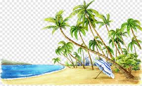 Baru 30 contoh gambar pemandangan tepi pantai beberapa contoh sketsa pohon kelapa di pantai mewarnai download 17 contoh di 2020 sketsa buku gambar lukisan bunga. Ilustrasi Laut Biru Dan Pohon Kelapa Hijau Lukisan Cat Air Pantai Lukisan Pemandangan Kelapa Fukei Pohon Di Pinggir Pantai Payung Cabang Pohon Png Pngegg