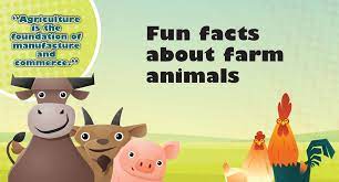 This includes some of the most asked, fun, surprising and crazy animal facts from across the animal kingdom. Fun Facts About Farm Animals Official Kids Mag