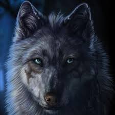 The story differs from that of the original novels or anime and is presented as an additional spice and wolf world. Wolf Anime Action Wolfanimeactio1 Twitter