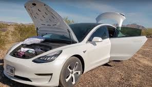 amerikanerin nutzt tesla model 3 als wohnmobil mit hund teslamag de