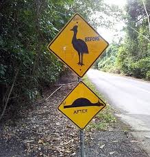 Pin On Funny Road Signs