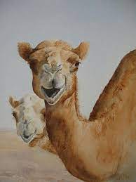 He even confided that his initial kindness was out of fear of reprisal but that now we actually know each other persian here, they never know the difference between arabs and persians and call us camel riding bomber most of us have never seen a camel in our lives, again they don't get the race right lol. Camels