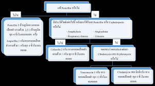 Image result for Group B Streptococcus Prophylaxis