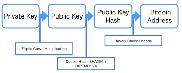 We show the public address and public key that corresponds to your private key as well as your private key in the most popular encoding formats (wif, hex). What Is A Bitcoin Address Ever Wonder What All Those Letters And By Sheinix Coinmonks Medium