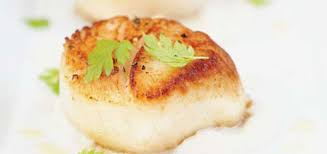 Petoncles Poeles Sur Puree De Celeri Rave Ricardo Recipe Ricardo Recipe Food Recipes