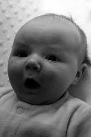 Monochromatic Soybean