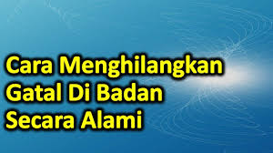 Penyebab dan cara mengatasi gatal secara alami. Cara Menghilangkan Gatal Di Badan Secara Alami Menggunakan Obat Tradisional Youtube