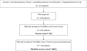 Image result for Plasmic Score