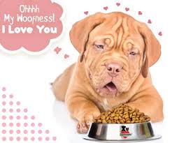 Perrousa Is Just Always Woofing Good Give Your Baby The Taste Of Health With Perrousa Dogfood Dog Food Recipes Raw Dog Food Recipes Food Animals