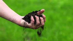 Healthy Soil Is The Key To A Beautiful Lawn Learn How To Create Healthy Soil With Love Your Lawn Love Your Soil Lawn And Garden Lawn Soil Air Cleaning Plants