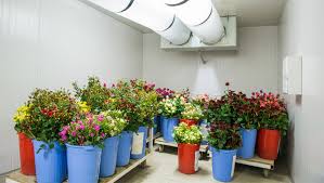 Check spelling or type a new query. Florists How Do They Keep The Flowers Fresh Blog 1cold