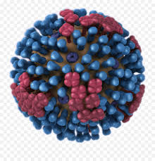 La gripe de las aves o gripe 'aviar' es una enfermedad infecciosa originada por el virus de la gripe tipo a. Virus Polio Transparent Png Clipart H1n1 Influenza Virus Free Transparent Png Images Pngaaa Com