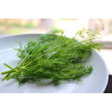 Download now yarrow daun seribu milfoil foto gratis di pixabay. Jual Daun Dill Fresh Adas Goceng 250gr Daun Adas Manis 250 Gr Kota Bandung Afcbandung Tokopedia