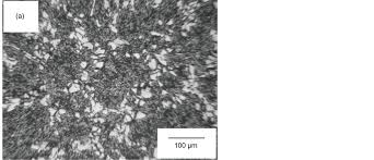 Image result for bulat steel micrograph