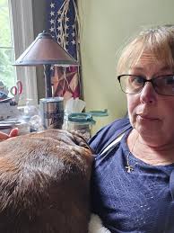 Introducing dog terrified of storms