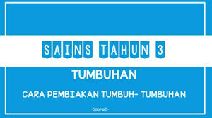 Tumbuh Tumbuhan Pages 1 15 Text Version Anyflip