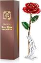 Profile Picture of Rose Gold Roses - The Forever Rose (@google.com) on Google