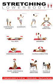 Lower Body Stretching Lower Body Stretches Everyday Stretches Sports Massage Therapy
