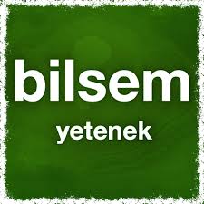 Bilsem Yetenek Bilsem Tablet Deneme Sinavi التطبيقات على Google Play