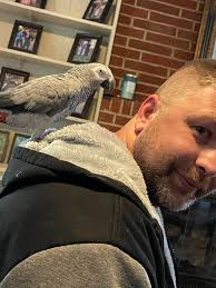 Starlink Internet Installation in Greer Arizona