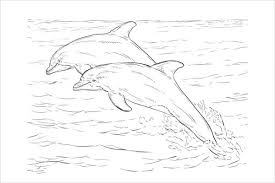 Open any of the printable files above by clicking the image or the link below the image. Free 8 Dolphin Coloring Pages In Ai