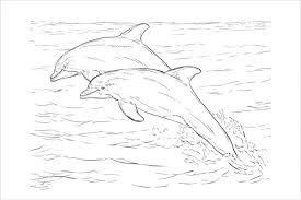 Includes images of baby animals, flowers, rain showers, and more. Free 8 Dolphin Coloring Pages In Ai