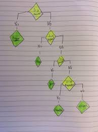 Latin Verb Tense Flowchart Chigwell Classix