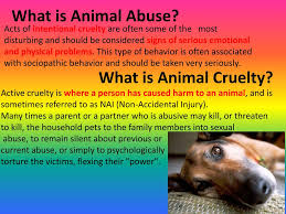 Animal cruelty is strongly correlated with other abuses, including violence against other people, along with alcohol and drug abuse. Ppt Animal Abuse Powerpoint Presentation Free Download Id 2127387
