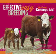 American Hereford Gest Chart American Hereford Association