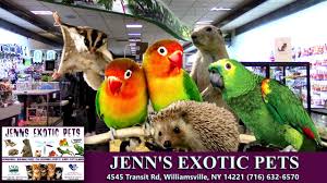 We are the only avian and exotic pet hospital in nassau county and we proudly serve pets. Jenn S Exotic Pets